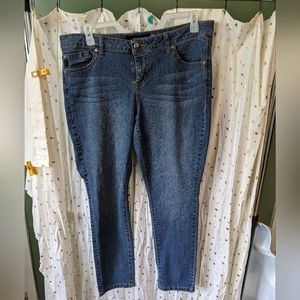 Torrid Medium wash Skinny Jeans